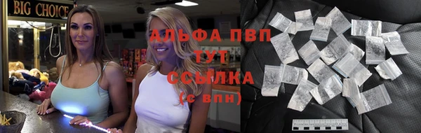 тгк Нея
