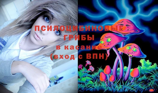 тгк Нея