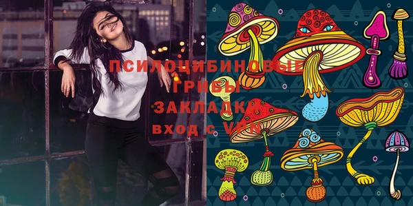 трава Новодвинск
