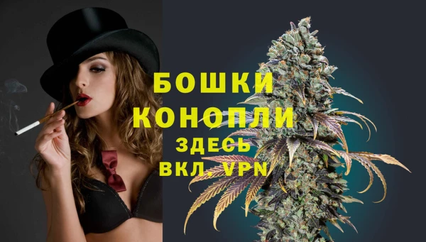 тгк Нея