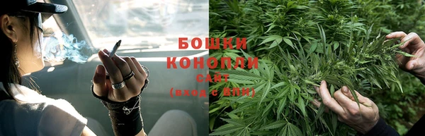 тгк Нея